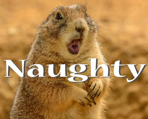 Naughty